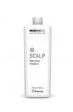 Framesi Morphosis SCALP DESTRESS Shampoo - Edbellessere S.r.l.