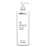 Framesi Morphosis SCALP DESTRESS Shampoo + dispenser - Edbellessere S.r.l.